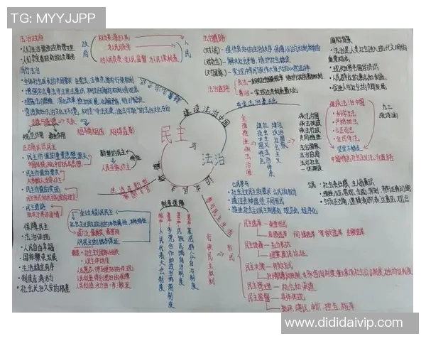 以法治为核心推动社会治理现代化探索与实践路径研究