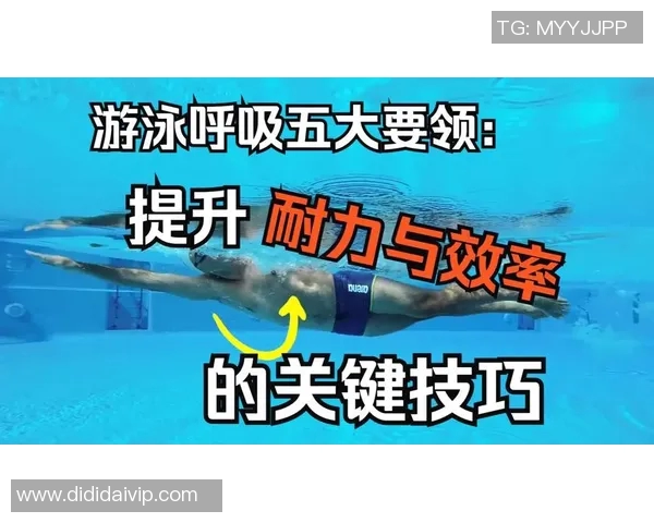 全面提升游泳技能的有效教学方法与技巧指导