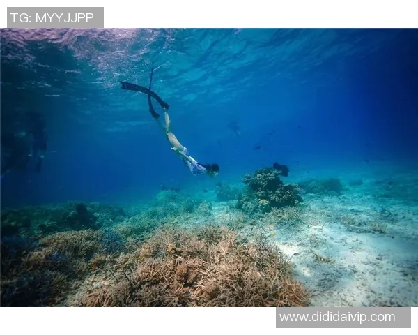 时尚与舒适并存 潜水泳装为夏季水上运动带来全新体验