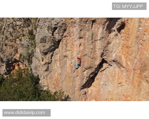 武汉攀岩队的节奏探秘：深度解析攀岩运动的魅力与挑战