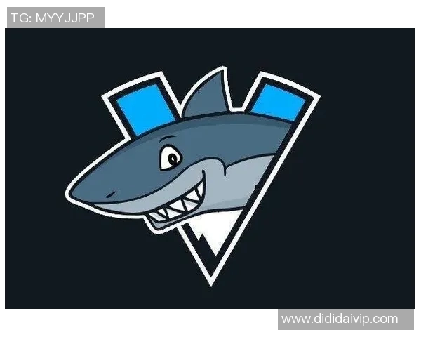 FPX战队在CSGO中的蜕变与成长历程全景回顾