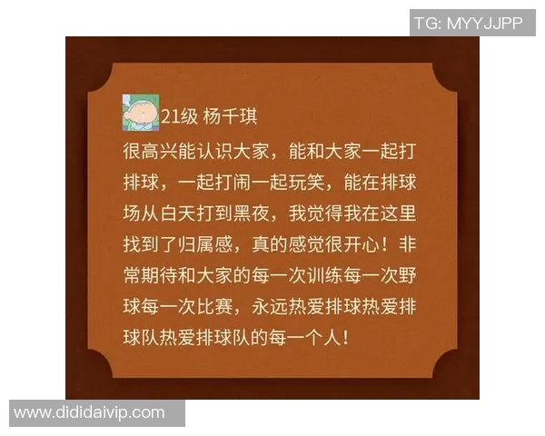 深圳排球队状态分析：聚焦球队表现与未来发展方向