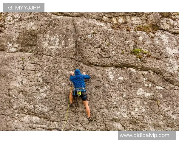 杭州攀岩队在全国攀岩耐力排行榜中荣获第五名的佳绩