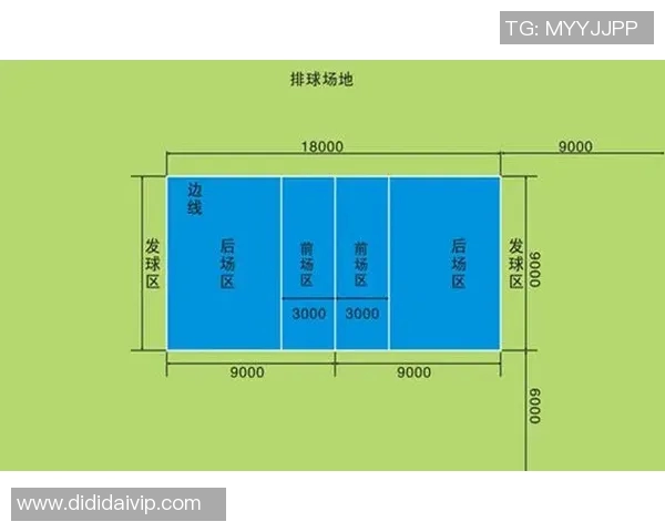 深圳排球队个人能力深度对比分析与发展潜力探讨