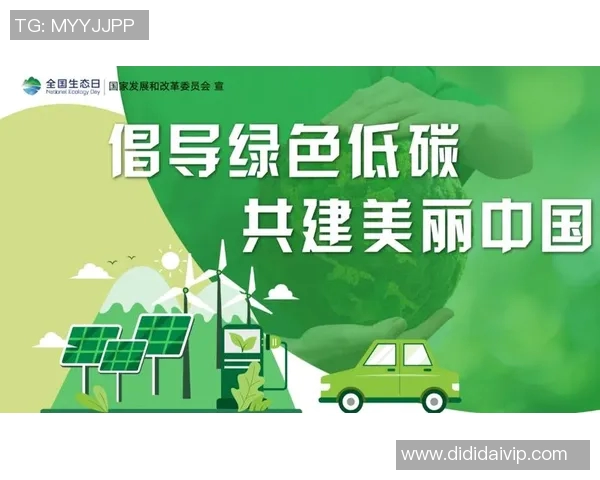 推动绿色发展政策创新加强生态环境保护与可持续发展战略实施