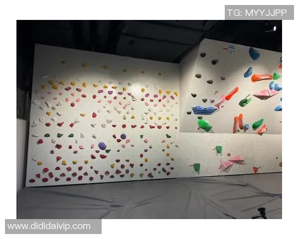 攀岩新手必看全方位入门指南与技巧分享